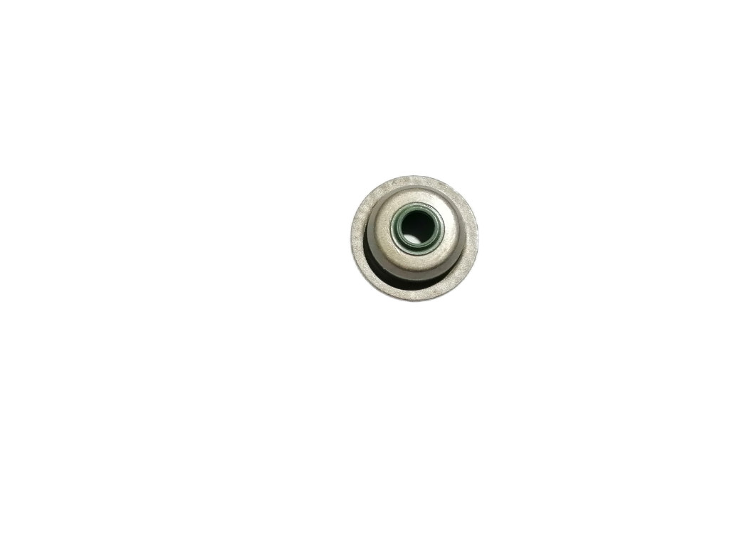 GWP202-SP-1-13 INTAKE VALVE SEAL