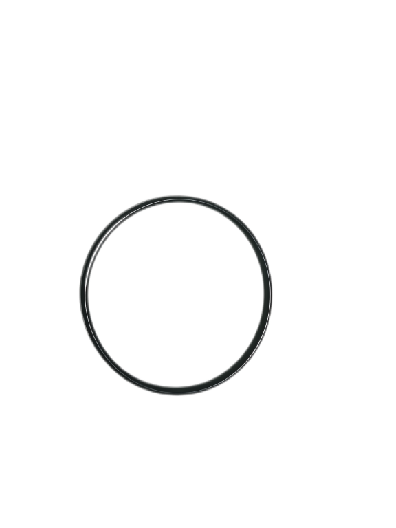 O-RING