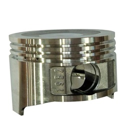 [GWP202-SP-1-39] GWP202-SP-1-39  PISTON